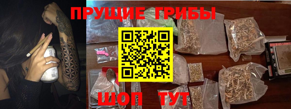 где найти   Галлюциногенные грибы Magic Shrooms  Кострома  Вход с VPN  Галлюциногенные грибы ЛСД 