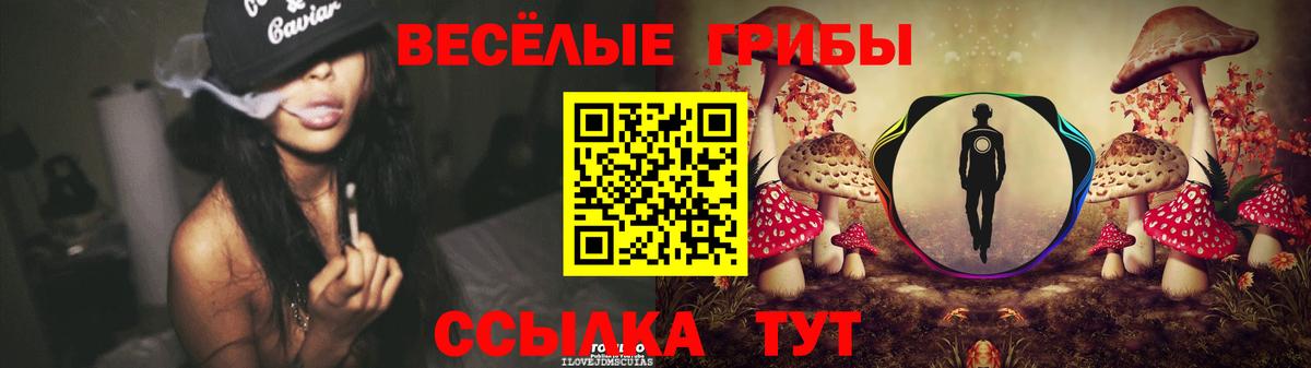 Галлюциногенные грибы Psilocybine cubensis Кострома